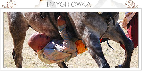 dzigitówka - woltyżerka konna