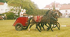 zaprzegi